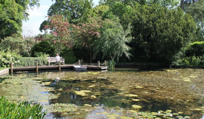 Holcombe Court, Wellington – Open Gardens